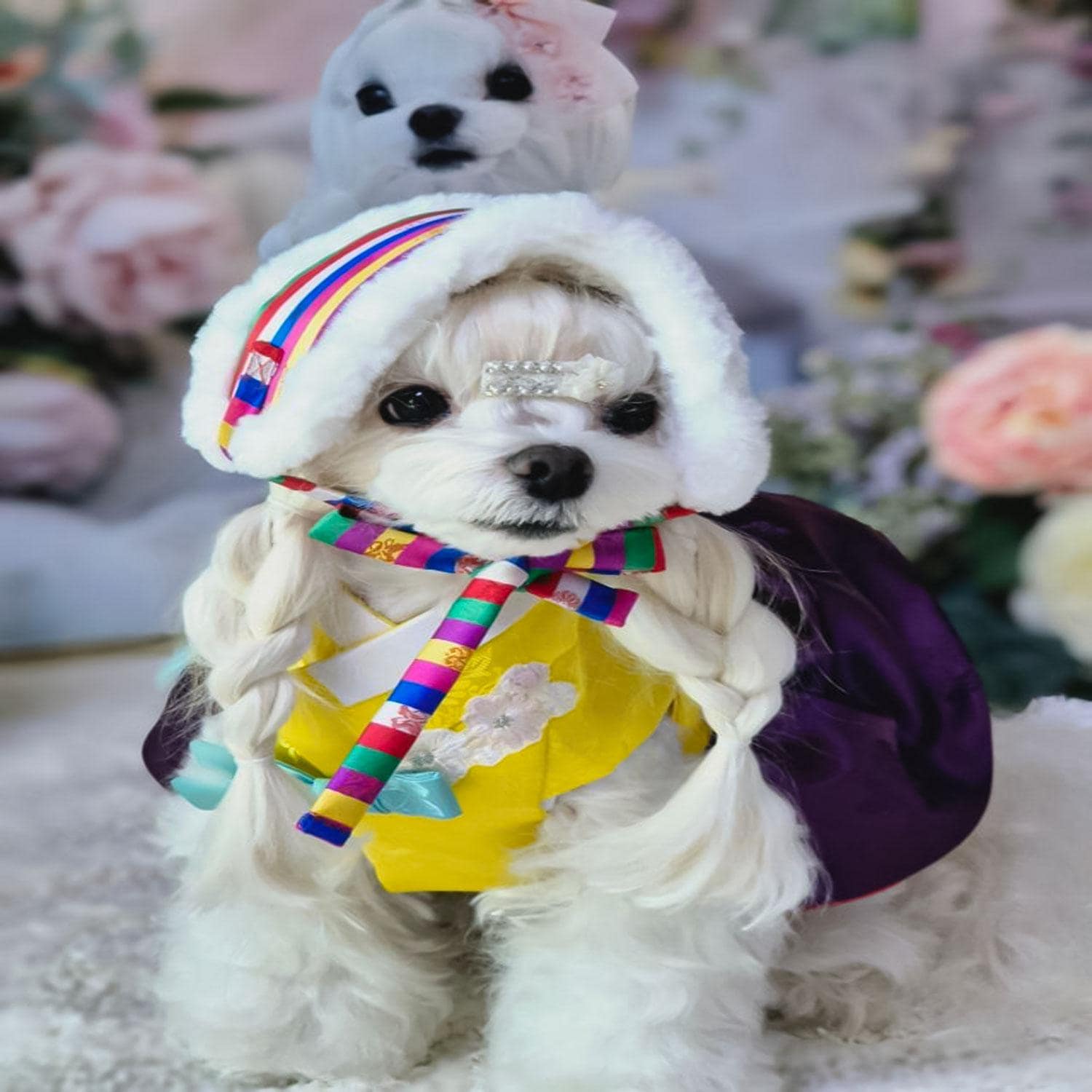 Korean Traditional Saekdong Fleece Pet Earmuff – Hanbok Style