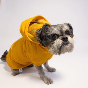 以下が含まれることがあります： 明るい黄色のフード付きスウェットシャツを着た小さな犬。犬はグレーと白の毛並みで、上を見上げています。フードの内側には模様の裏地が付いています。犬は白い面に座っています。