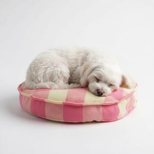 Puede incluir: Un perro pequeño y blanco duerme sobre una cama redonda para perros. La cama tiene un estampado de cuadros rosas y crema. El pelaje del perro es esponjoso y blanco, y sus ojos están cerrados. El fondo es blanco liso.