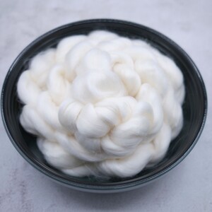 SW Merino/Bamboo/Nylon Roving - 1 lb