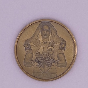 Troy Polamalu Steelers NFL 1/1