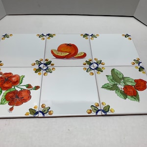 Può includere: Un set di sei piastrelle in ceramica bianca disposte a griglia, caratterizzate da motivi botanici e fruttati dipinti a mano. I disegni includono fiori di ibisco rossi, un agrume arancione brillante e foglie verdi con fragole rosse.