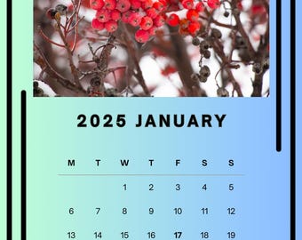 2025 Calendar