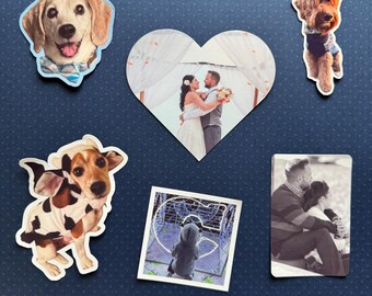 May include: A collage of six photos featuring various subjects, including a couple getting married, a dog wearing a cow costume, a child in a playground, and two dogs. The photos are printed on white paper and have a white border.