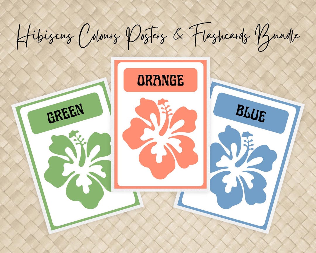Hibiscus Colours Poster & Flashcard Bundle | English Printable | A4 ...