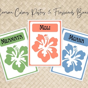 Posters et cartes mémoire aux couleurs des Samoa | Thème Hibiscus | Set d'apprentissage imprimable A4 pour enfants | Décoration de classe d'inspiration polynésienne