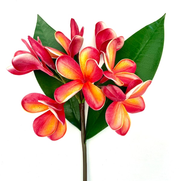 Diy frangipani bouquet/frangipani long stem/cake frangipanis/diy frangipanis for cakes/red yellow orange plumerias on branch