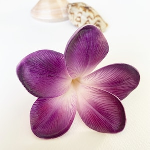 May include: A single purple plumeria flower with white veins in the center of the petals.