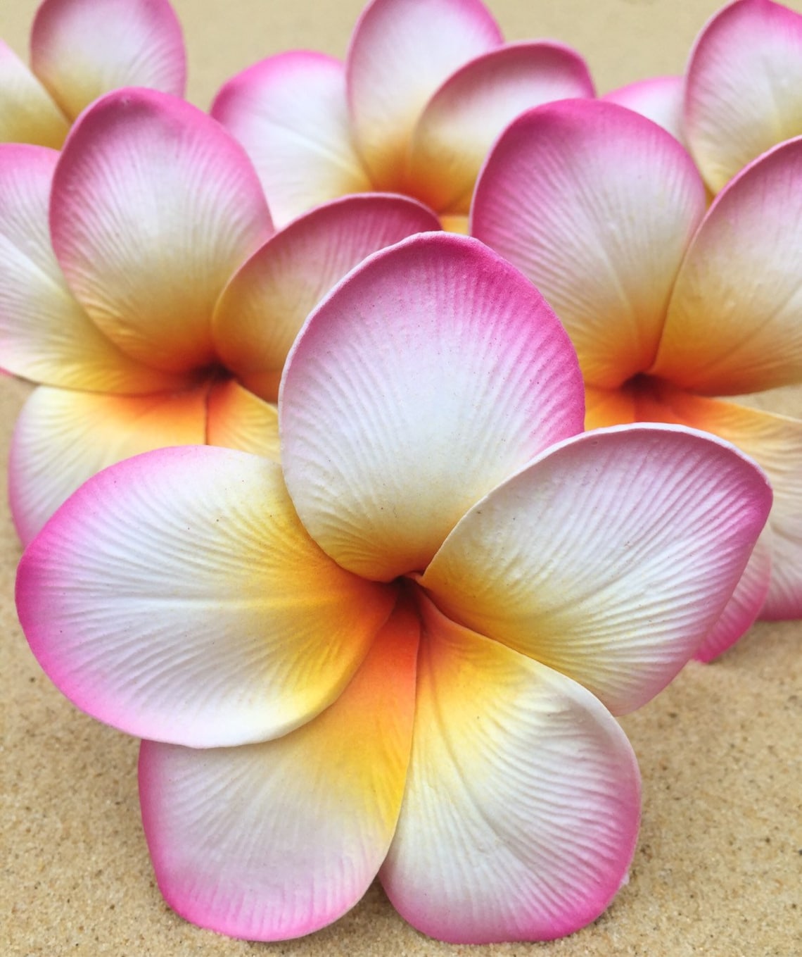 Plumeria hair flowers/hair flower/frangipani hair Etsy