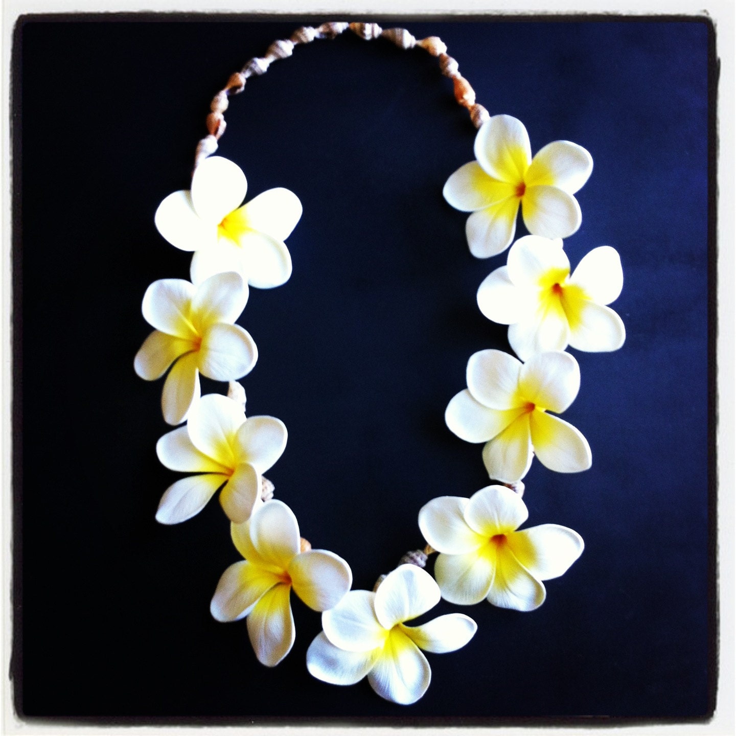 Aloha Plumeria Lei/Shell Lei/Frangipani Lei/Hawaiin Etsy