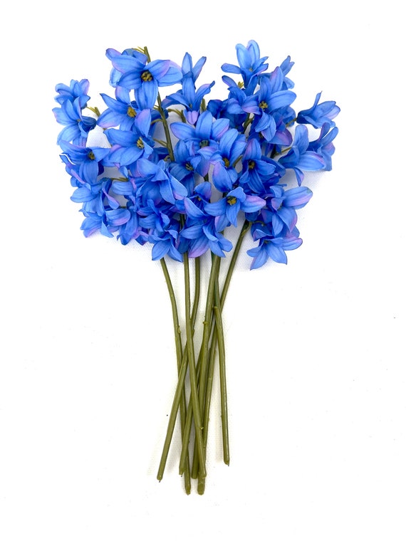 Blue flowers for baby cheap boy