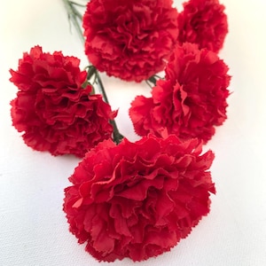 May include: Five vibrant red carnation flowers with ruffled petals and green stems are arranged against a white background. The flowers are in full bloom, showcasing their textured surfaces. The image highlights the natural beauty of the carnations.