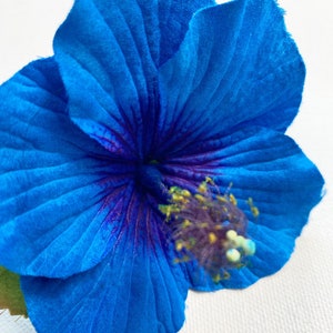 Blue Lagoon hibiscus hair clip/hawaiian hair flower/Christmas hair clip/silk blue hibiscus/hawaiian party hair clip/blue hair clip