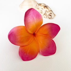 Plumeria/plumeria/frangipani/flor de cabello frangipani/flor de cabello hawaiana/flor de pastel de plumeria/flor de cabello polinesia rosa y naranja de California