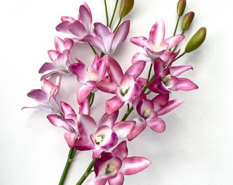Real Touch Fuchsia Orchid Stem, Tropical Cake Flower, Home Decor (H 59 cm)