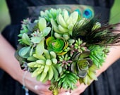 Peacock Bouquet/Peacock brides bouquet/succulent bouquet/succulents/succulents & peacock feather bouquet/green succulent bouquet