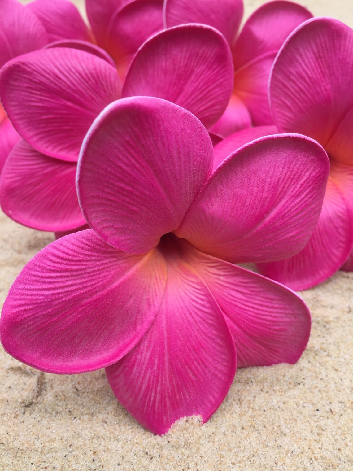 Plumeria hair flowers/hair flower/frangipani hair Etsy