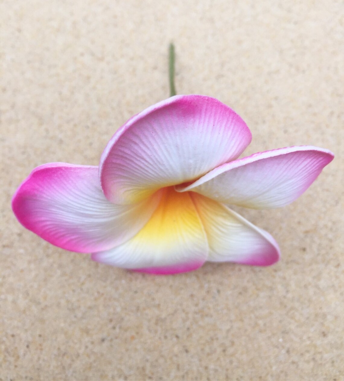 Plumeria hair flowers/hair flower/frangipani hair Etsy