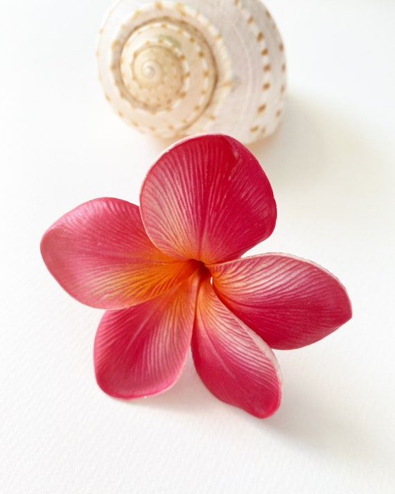 Rojo naranja Plumeria flor de pelo / flor de pelo / frangipani - Etsy México Rojo naranja Plumeria flor de pelo / flor de pelo / frangipani - Etsy México