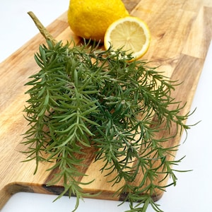 Artificial rosemary bush/rosemary/Charcuterie green/rosemary decoration/rosemary bush/butchers rosemary/prop greenery/tablescaping greenery