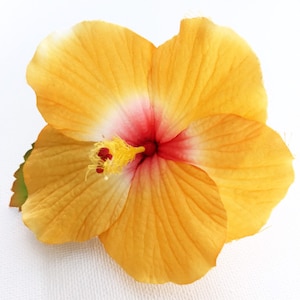 Golden Sunrise Hibiskus Haarspange/Hawaii Party Haarclip/Rockabilly Blume/Hawaii Haarclip/goldgelbe Hibiskus Haarspange