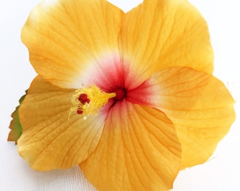 Golden Sunrise hibiscus hair clip/hawaiian party hair clip/rockabilly flower/hawaiian hair clip/golden yellow hibiscus hair clip