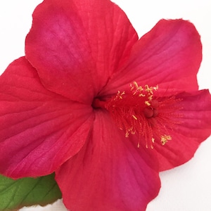 Red pink hibiscus hair clip/hawaiian hair clip/Polynesian hair clip/beach/hibiscus hair clip/red pink hibiscus/red pink hair clip