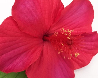 Hawaiian red hibiscus hair clip/hawaiian hair clip/hair flower/red hair clip/beach/hibiscus hair clip/red hibiscus/red hair flower/