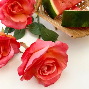 May include: Vibrant coral roses with green leaves and watermelon slices in a small woven basket. The roses are in full bloom, with delicate petals and a soft gradient of colour. A summery still life.