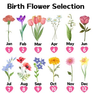 K&ouml;nnte beinhalten: Eine Tabelle, die die Geburtsblume f&uuml;r jeden Monat des Jahres zeigt. Die Blumen sind mit Aquarell-artigen Bildern illustriert. Die Blume des Januars ist die Nelke, die des Februars ist die Veilchen, die des M&auml;rz ist die Narzisse, die des April ist die G&auml;nsebl&uuml;mchen, die des Mai ist das Maigl&ouml;ckchen, die des Juni ist die Rose, die des Juli ist der Rittersporn, die des August ist der Mohn, die des September ist die Aster, die des Oktober ist die Ringelblume, die des November ist die Chrysantheme und die des Dezember ist die Narzisse.