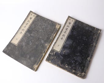 Antique Japanese Book Set “Hyochu Hoyu Chu Yaku Gyoshaku” Vol. 2 & 3 | Rare Edo/Meiji-Era Classical Chinese Buddhist Commentary