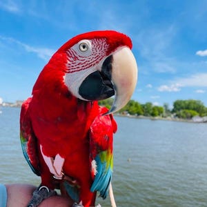 May include: A white ceramic mug with a black handle and the text "But First, Coffee" in a bold, black font. The mug is set against a neutral background, highlighting its simple design.