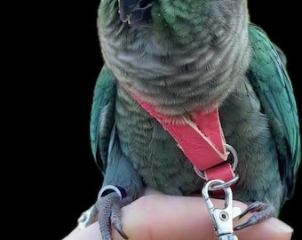 SIZE 2 - Leder-Geschirr Vogelleine Grüne Wange/Kanarienvogel Flügel BeBe Sittich/Rosa Kronensittich Kakariki / LEATHERS4FEATHERS