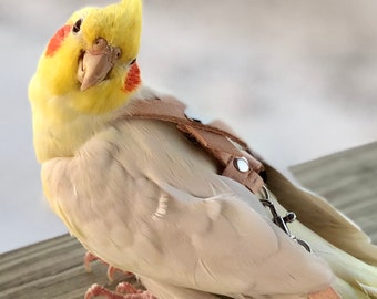 SIZE 3 - 90-120g  LEATHERS4FEATHERS Leather Bird Harness Avian Parrot Leash Cockatiel / Sun Conure / Blue Throat Conure.