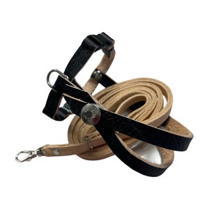 May include: A black and tan leather camera strap with a silver-tone clasp and hardware. The strap is made of rolled leather and features a black leather harness with metal rivets and a snap closure.