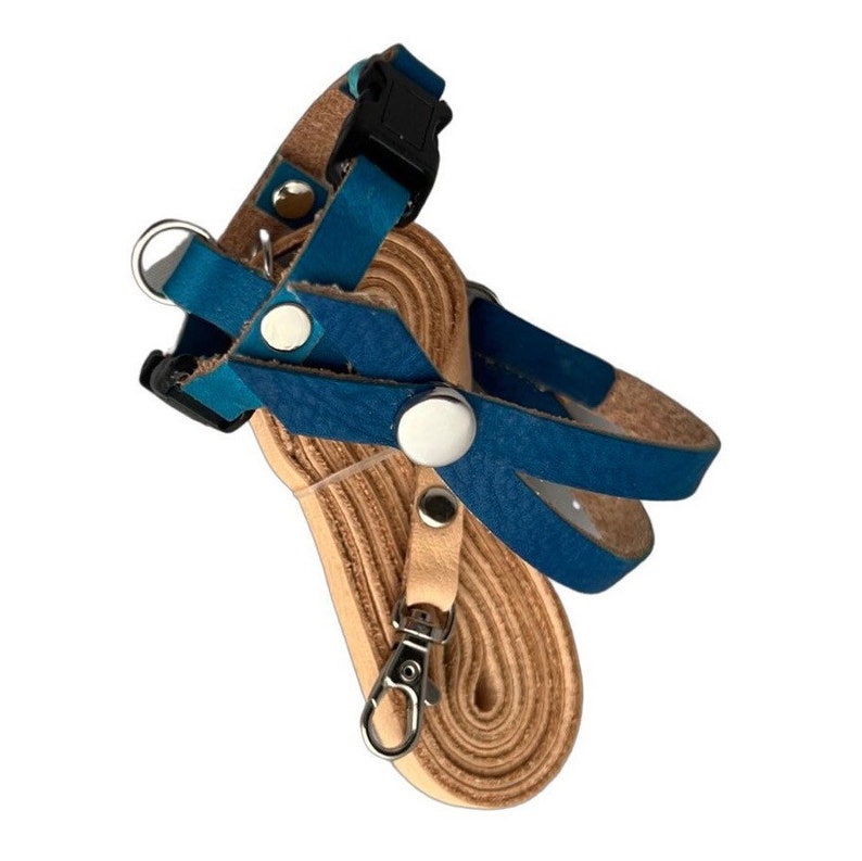 Op de afbeelding: Een blauw en bruin leren harnas voor huisdieren met een bijpassende riem. Het harnas heeft een blauw leren ontwerp met zilveren klinknagels en een zwarte gesp. De riem is bruin en heeft een zilveren sluiting.