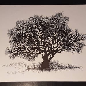 May include: A black and white pen and ink drawing of a large tree with a full, intricate canopy. The tree's branches are detailed, and the trunk is thick. The artwork is on white paper, with a few blades of grass at the base of the tree.