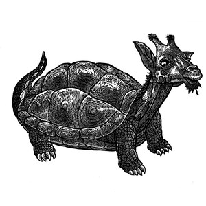 Op de afbeelding: Een zwart-witte lijntekening van een schildpad met een giraffenkop. De schildpad heeft een gedetailleerde schild en de giraffenkop heeft een lange nek en grote oren.