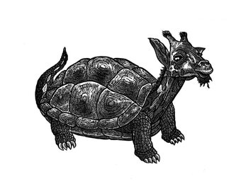 Gurtle Linoleum Cut Print = Giraf + Schildpad