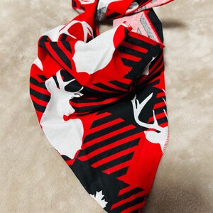 dog bandana