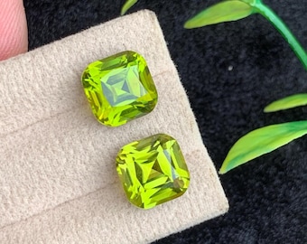 10.00 Carats Greenish Yellow Peridot Gemstone Pair with Stunning Cushion Shape from Pakistan