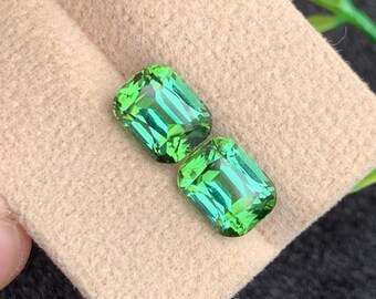 Paire de tourmalines naturelles bleu-vert de 5,32 carats, taille coussin, pour boucles d'oreilles, en provenance d'Afghanistan.