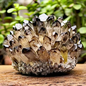 Könnte beinhalten: Ein Cluster aus Rauchquarzkristallen, mit einem Farbverlauf von Dunkelbraun bis Klar. Die Kristalle sind dicht gepackt und bilden eine geodenartige Struktur. Die Basis ist eine raue, strukturierte Matrix.
