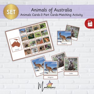 Australian Animals-Montessori Australian Animals-Animals of Australia-Printable Australian Animals Cards-Oceania Animals Cards 3-Part Cards