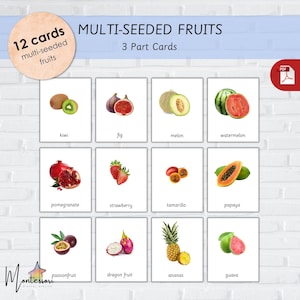 FRUTAS COM MÚLTIPLAS SEMENTES - FlashCards de Frutas Montessori para Crianças - FlashCards de Frutas com Múltiplas Sementes - FlashCards de Frutas - Cartões de 3 Partes