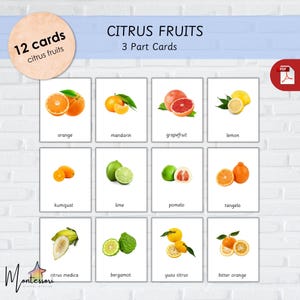 CITRUS FRUITS-Montessori Fruits FlashCards for Kids–Citrus Fruits-Citrus Fruits FlashCards-Fruits FlashCards-3 Part Cards-Orange-Lemon-Lime