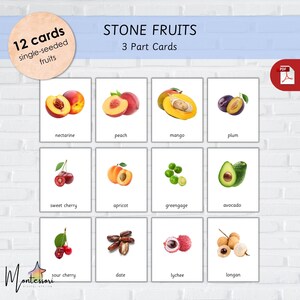 FRUTA COM CAROÇO - FlashCards de Frutas Montessori para Crianças - Frutas com Semente Única - FlashCards de Frutas com Caroço - FlashCards de Frutas - Cartões de 3 Partes
