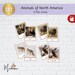 North America Animals-montessori North American Animals-printable North ...