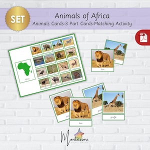 African Animals-Montessori African Animals-Animals of Africa-Printable African Animals 3-Part Cards-Matching Activity-Safari Animals Cards