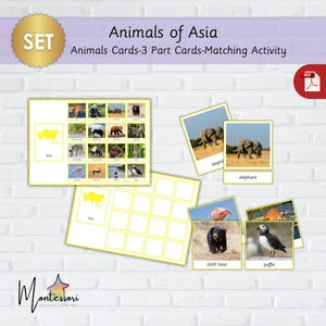Animais da Ásia - Animais da Ásia - Animais Asiáticos Montessori - Cartões de animais asiáticos para impressão em 3 partes - Atividade de correspondência - Cartões de vida selvagem